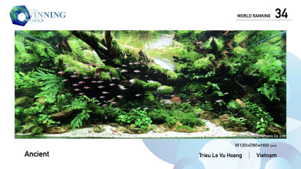 Click to enlarge image 034.webp Click to enlarge image 034.webp