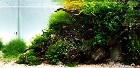 Click to enlarge image 0252.webp Click to enlarge image 0252.webp