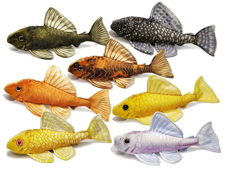 The Best Types Of Plecos You Should Consider For Your Tank