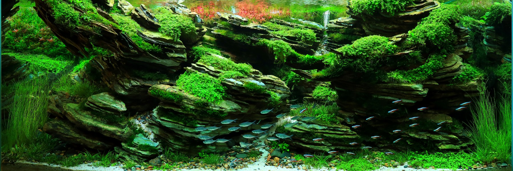 Pham Duc Manh cover