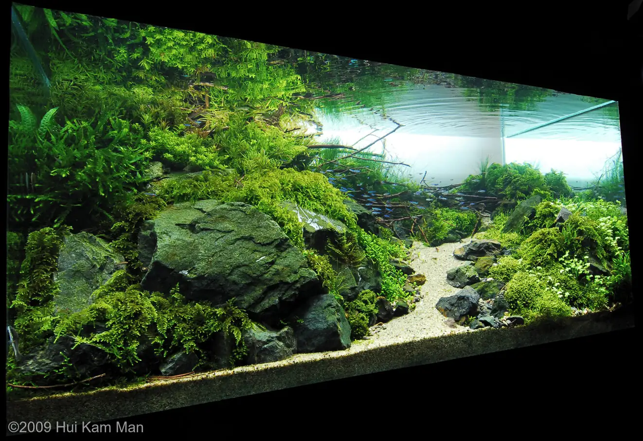 Treasure - Cliff Hui / HongKong China