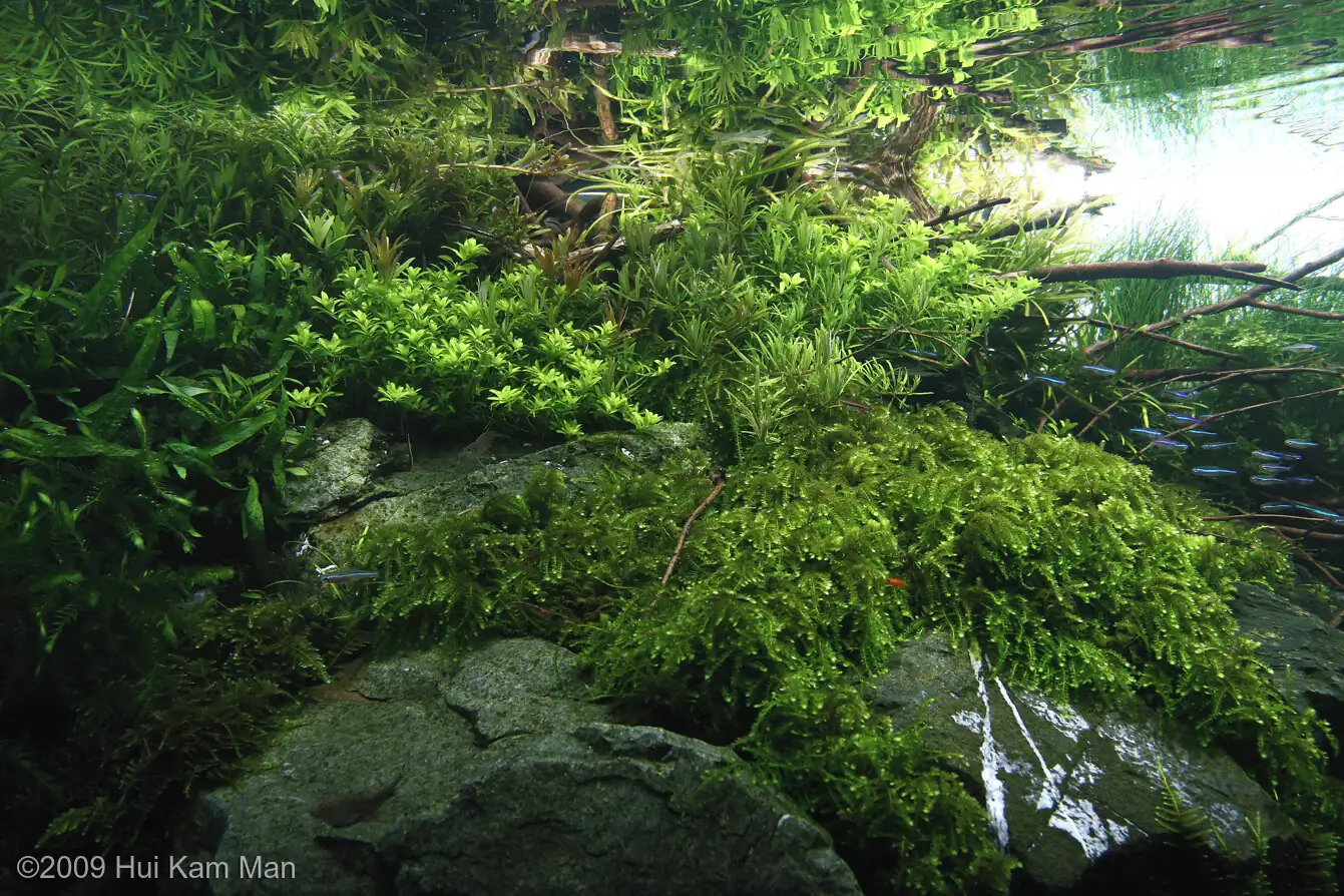 Treasure - Cliff Hui / HongKong China