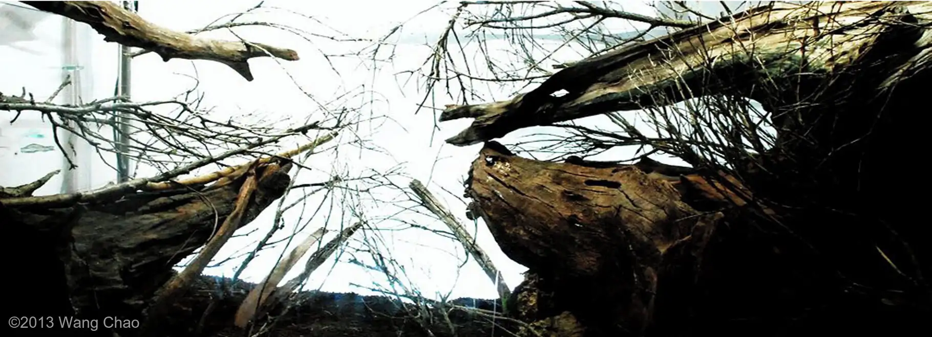 Sky - Most Innovative AGA 2013 - WangChao / China