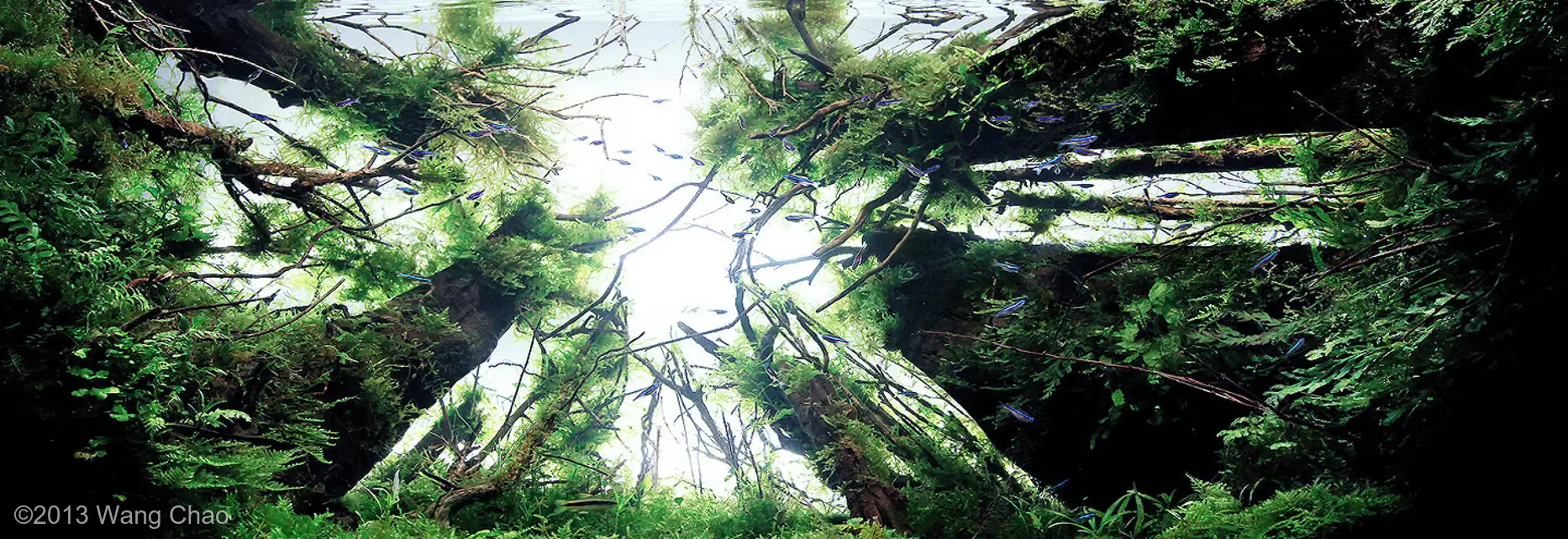 Sky - Most Innovative AGA 2013 - WangChao / China