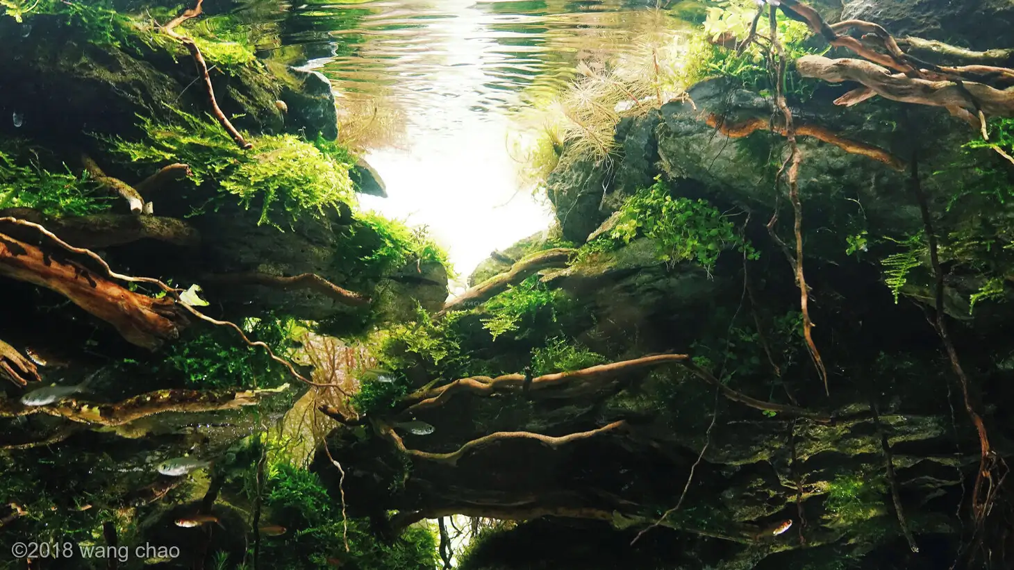 The city of sky - Top Ten AGA 2018 - WangChao / China