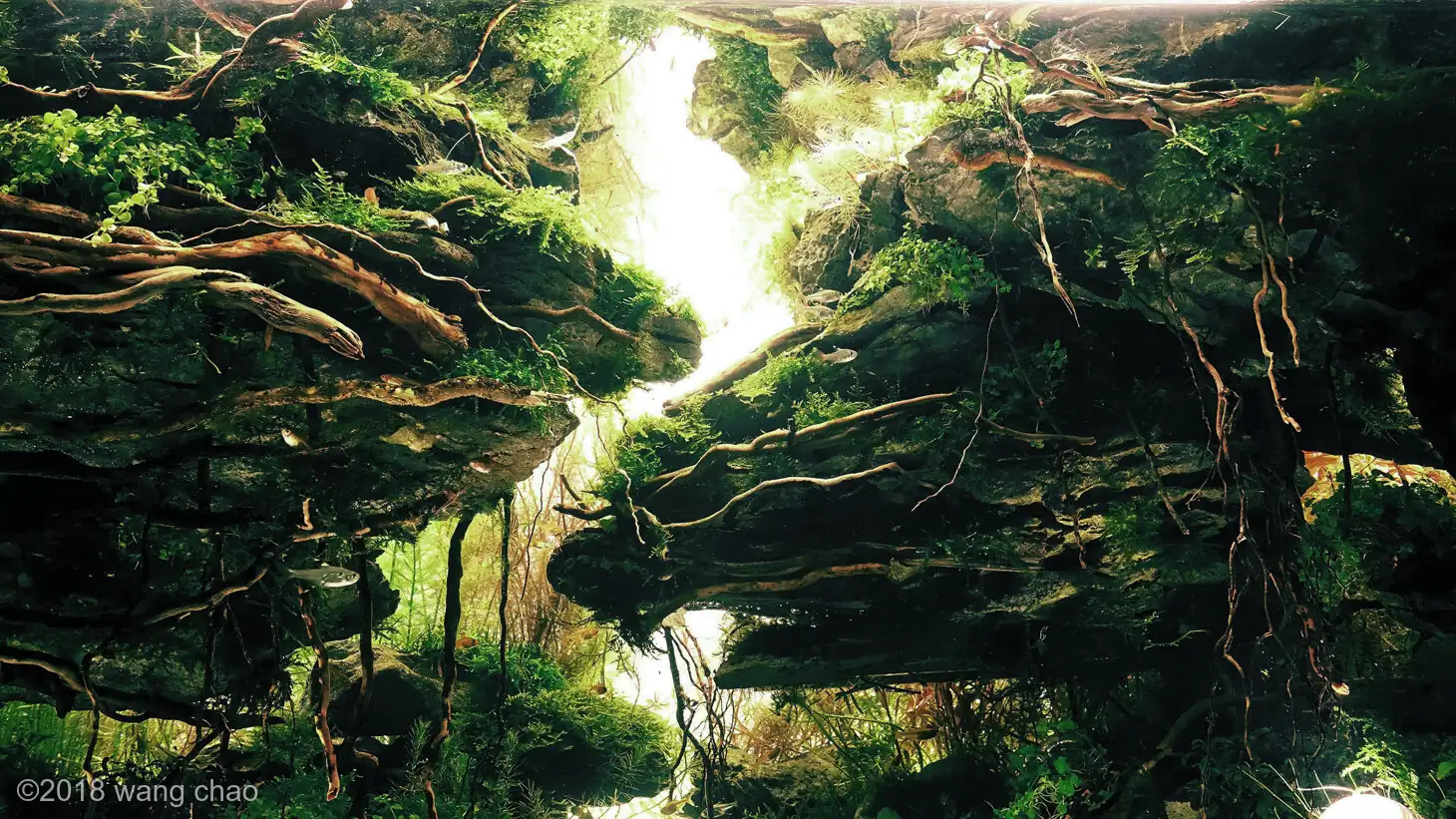 The city of sky - Top Ten AGA 2018 - WangChao / China