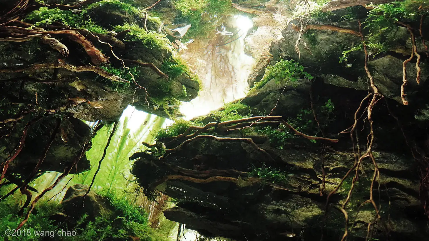 The city of sky - Top Ten AGA 2018 - WangChao / China