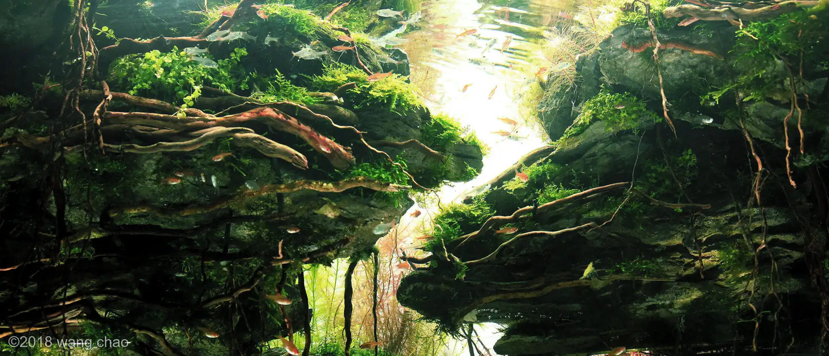 The city of sky - Top Ten AGA 2018 - WangChao / China