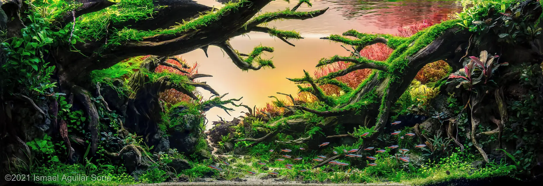 The Valley Of The Rising Sun - Ismael Aguilar Soria / Spain