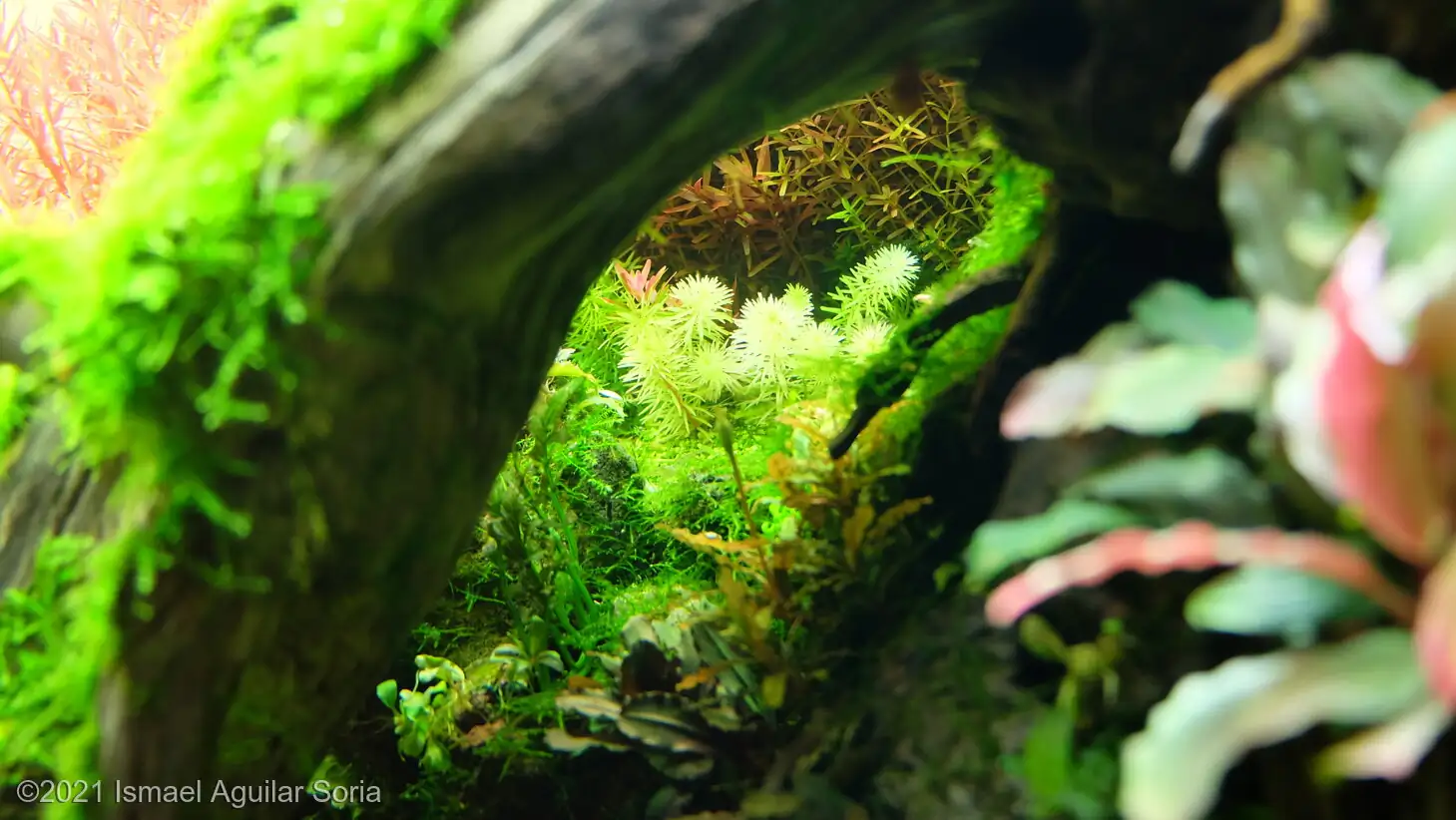 The Valley Of The Rising Sun - Ismael Aguilar Soria / Spain