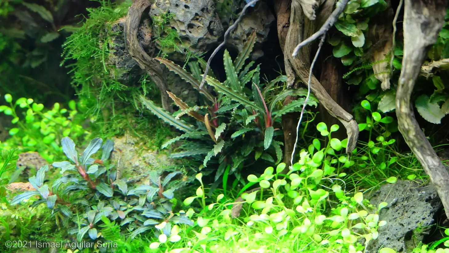 The Valley Of The Rising Sun - Ismael Aguilar Soria / Spain