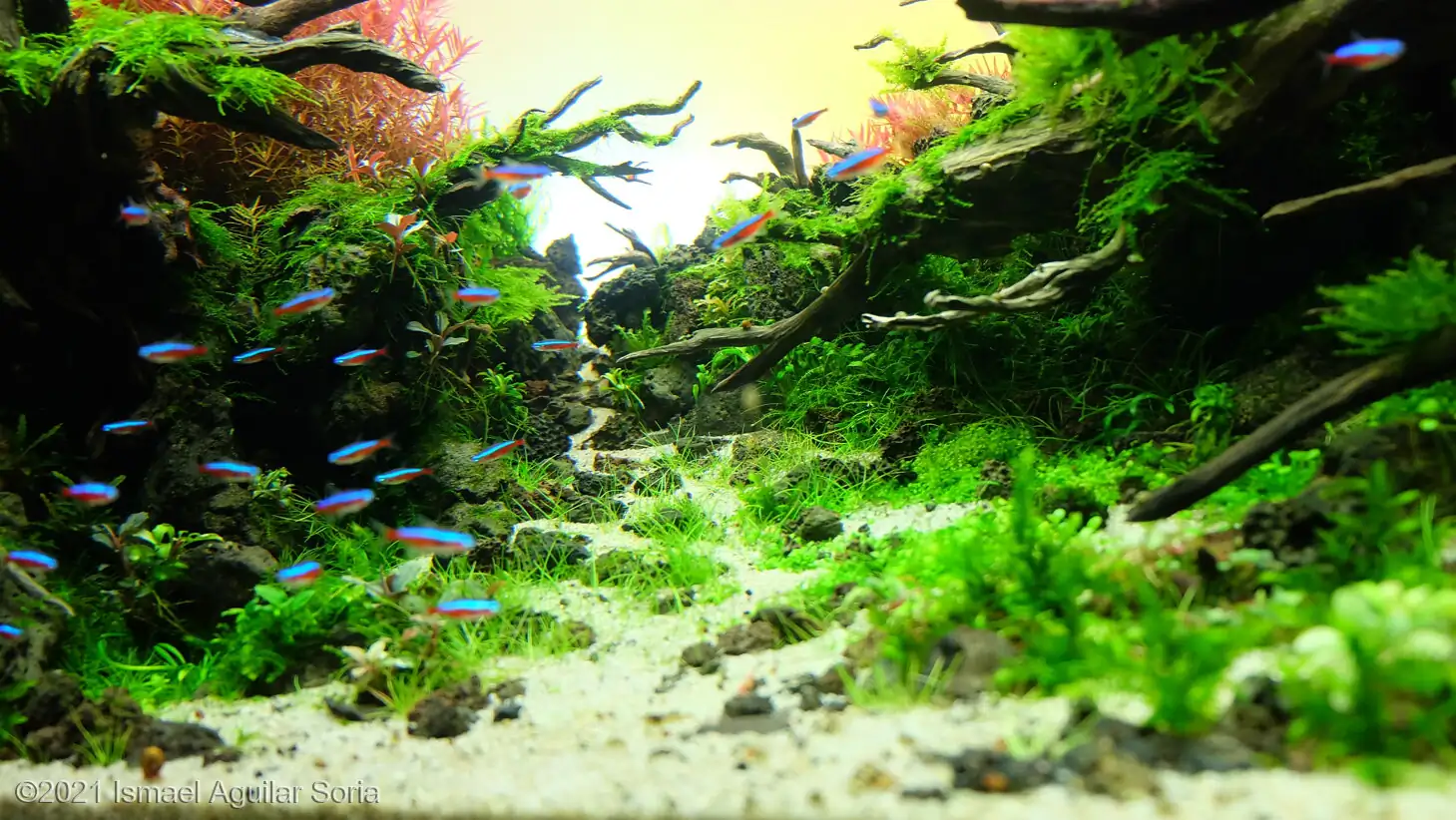 The Valley Of The Rising Sun - Ismael Aguilar Soria / Spain