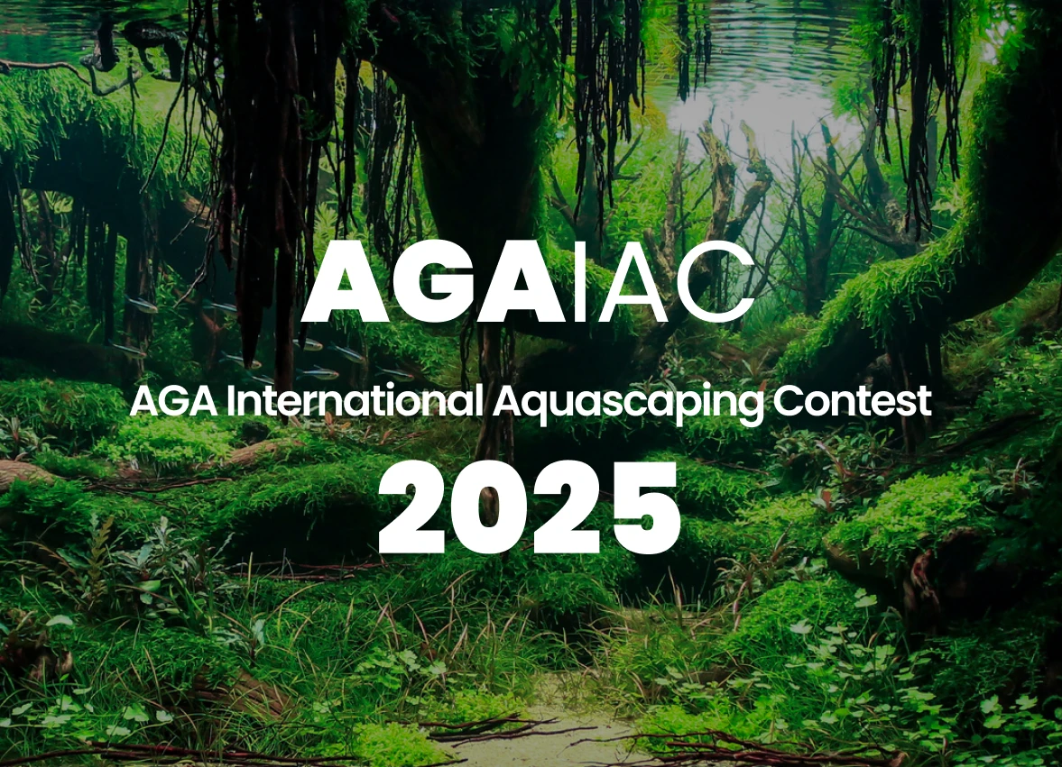 AGA 2025 Results Announced: Indonesia Wins Big, USA Dominates Dutch Category