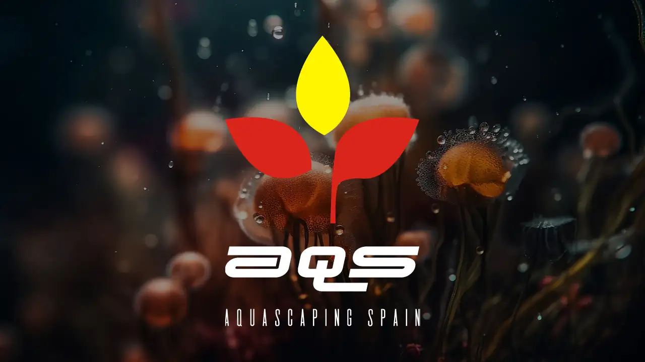 Aquascaping Spain Contest 2024 Final result