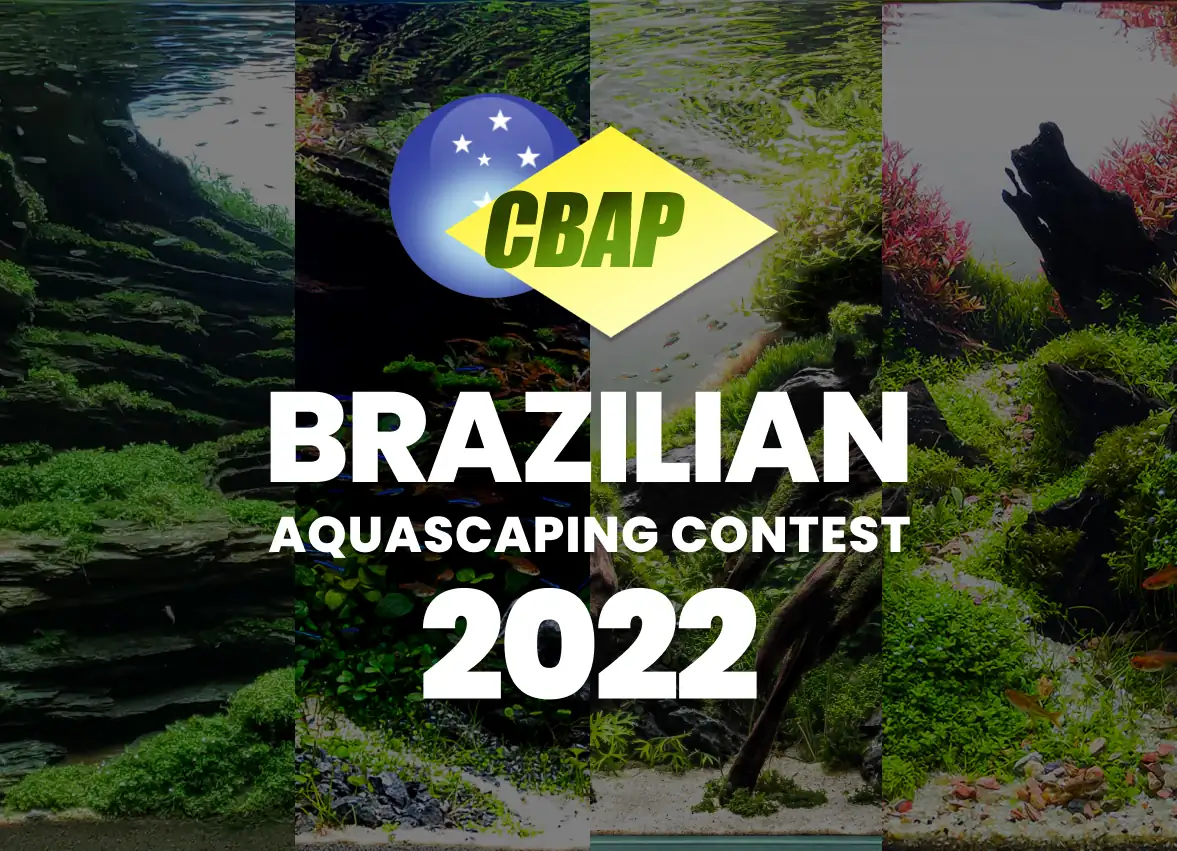 Brazil Aquascaping Contest 2022 Result - CBAP 2022