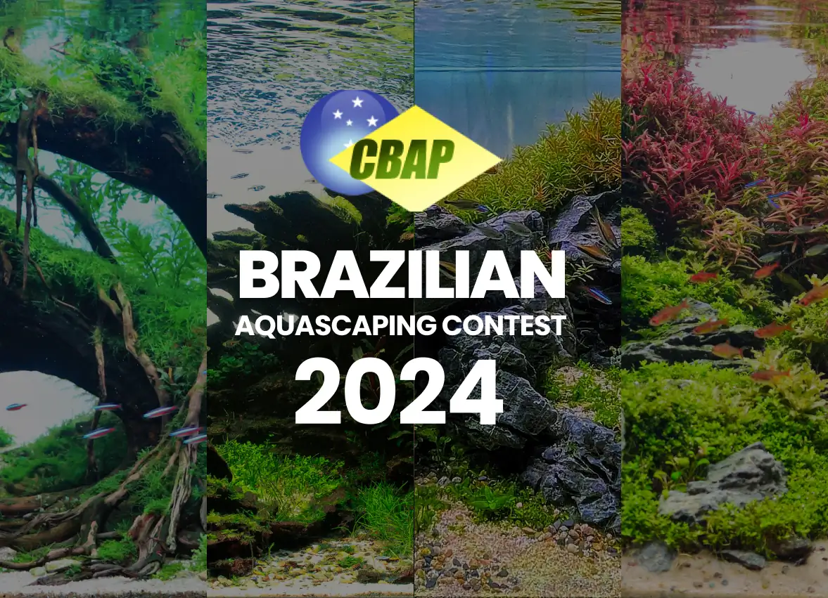 Brazil Aquascaping Contest 2024 Result