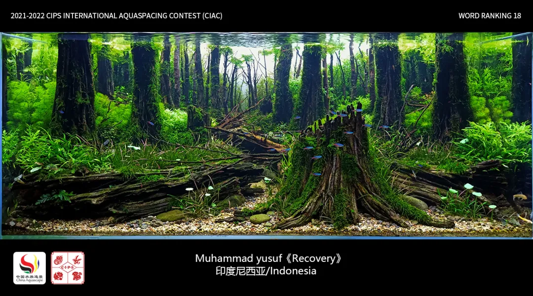 Untitled contest work by Muhammad Yusuf
