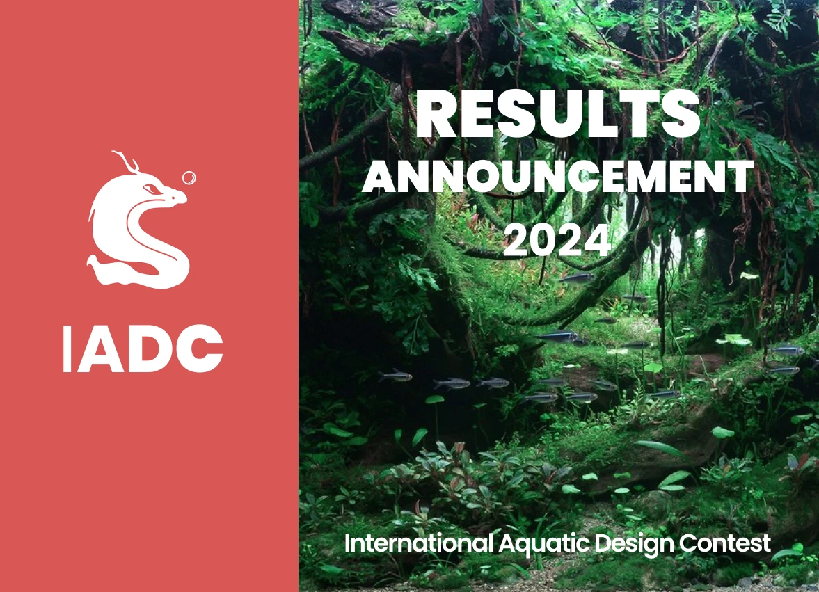 IADC 2024 Results Announcement