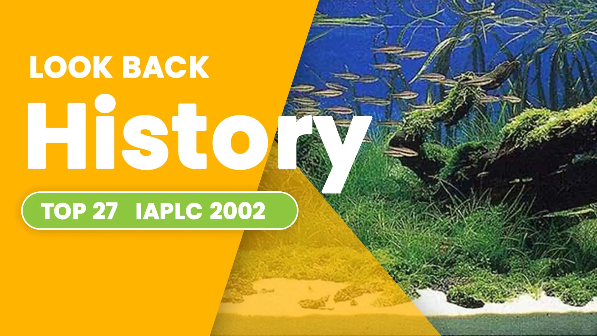 TOP 27 IAPLC 2002 - Look back history