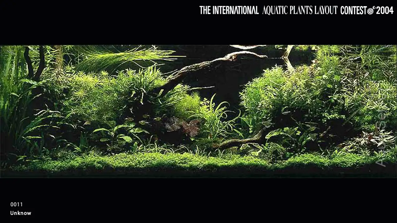 TOP 27 IAPLC 2004 - Look back history