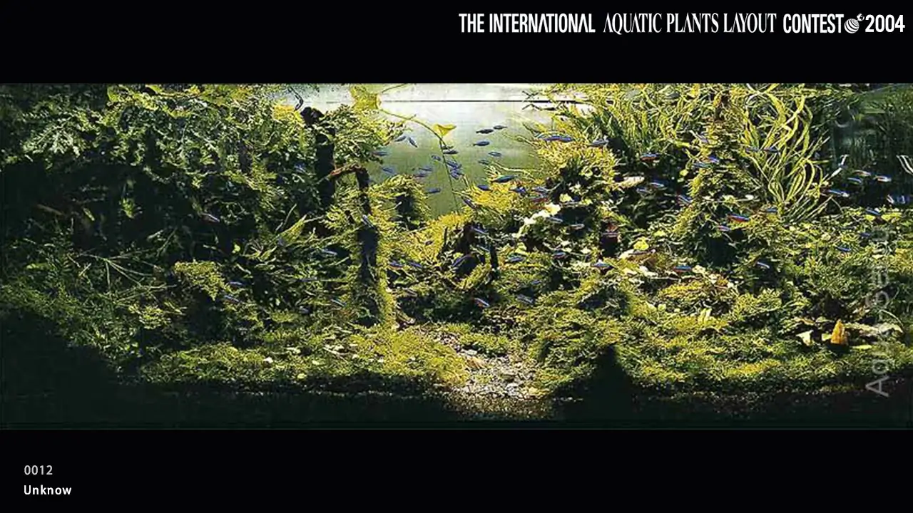 TOP 27 IAPLC 2004 - Look back history