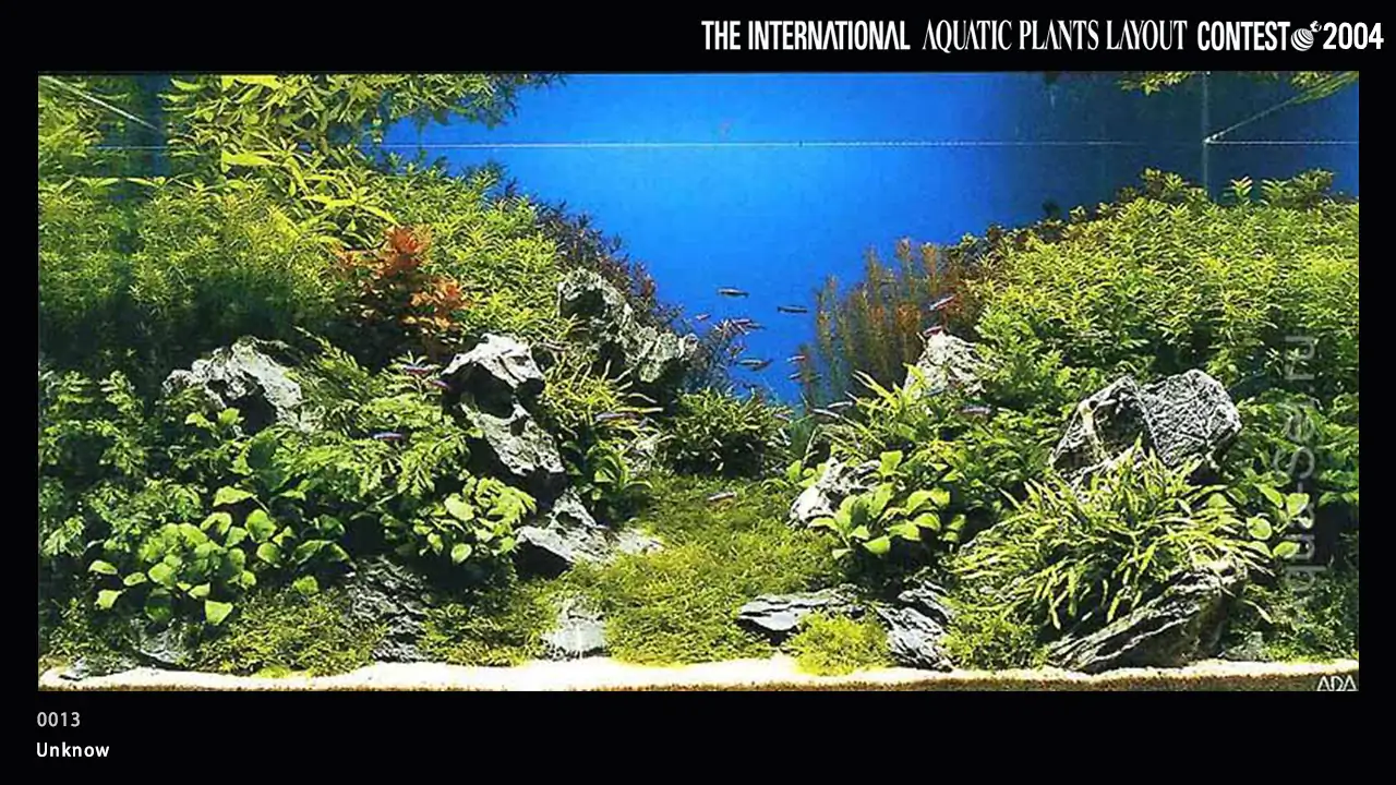 TOP 27 IAPLC 2004 - Look back history