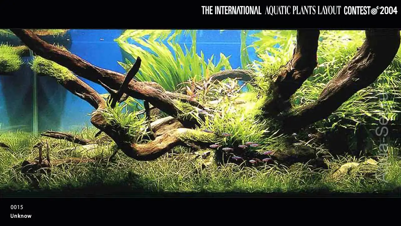 TOP 27 IAPLC 2004 - Look back history