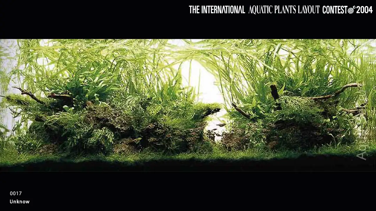 TOP 27 IAPLC 2004 - Look back history