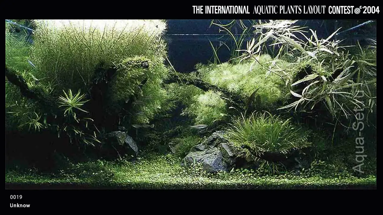 TOP 27 IAPLC 2004 - Look back history