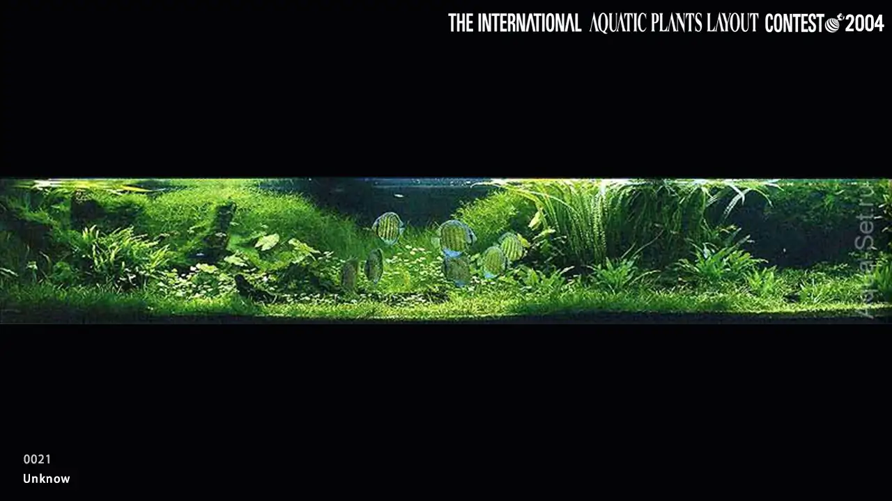 TOP 27 IAPLC 2004 - Look back history