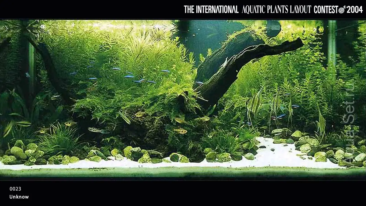 TOP 27 IAPLC 2004 - Look back history