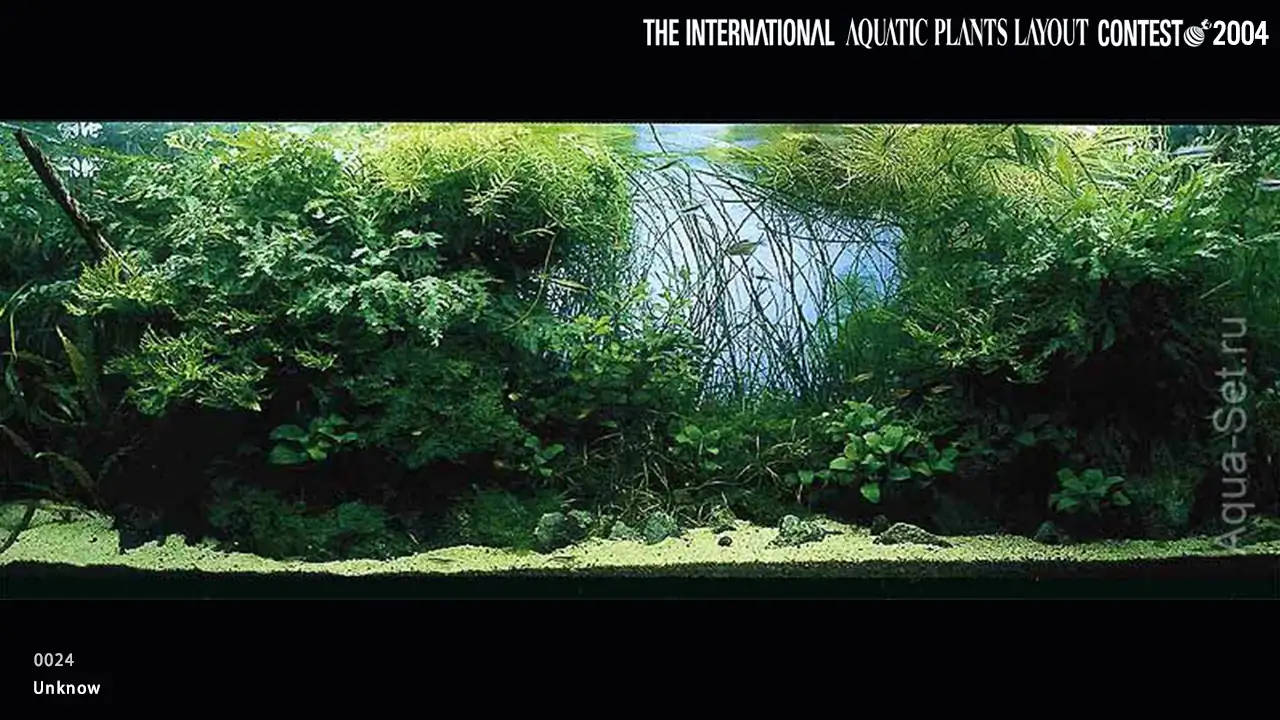 TOP 27 IAPLC 2004 - Look back history