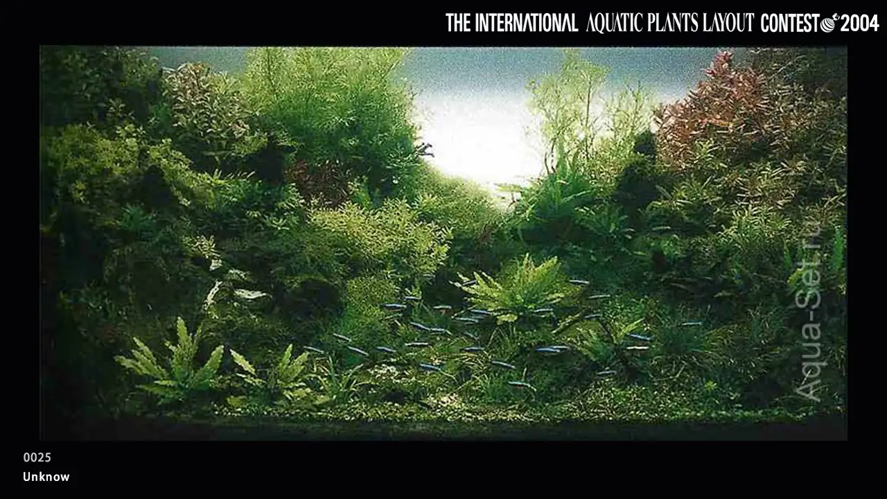 TOP 27 IAPLC 2004 - Look back history