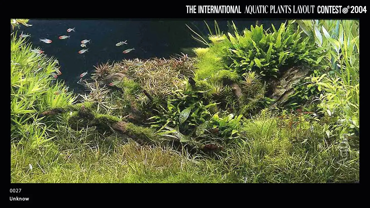 TOP 27 IAPLC 2004 - Look back history