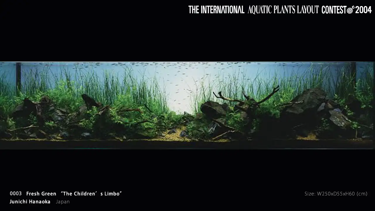 TOP 27 IAPLC 2004 - Look back history