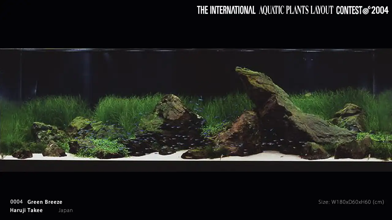 TOP 27 IAPLC 2004 - Look back history