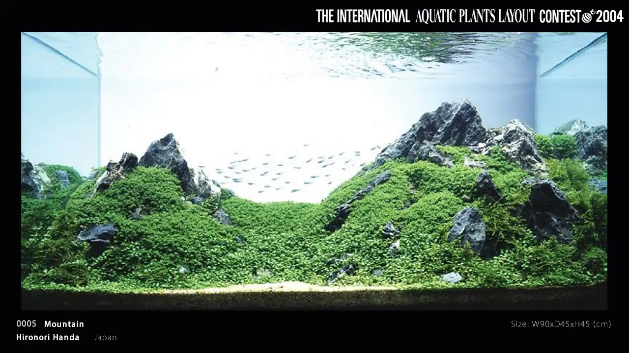 TOP 27 IAPLC 2004 - Look back history