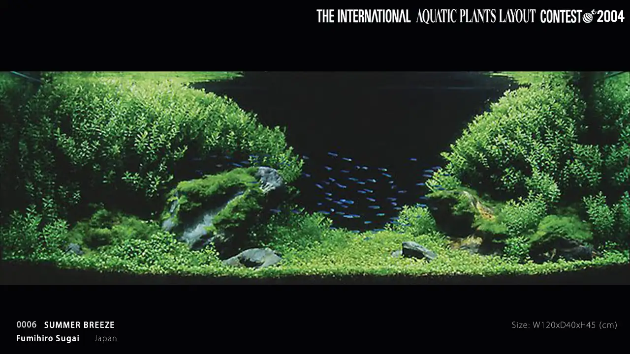 TOP 27 IAPLC 2004 - Look back history