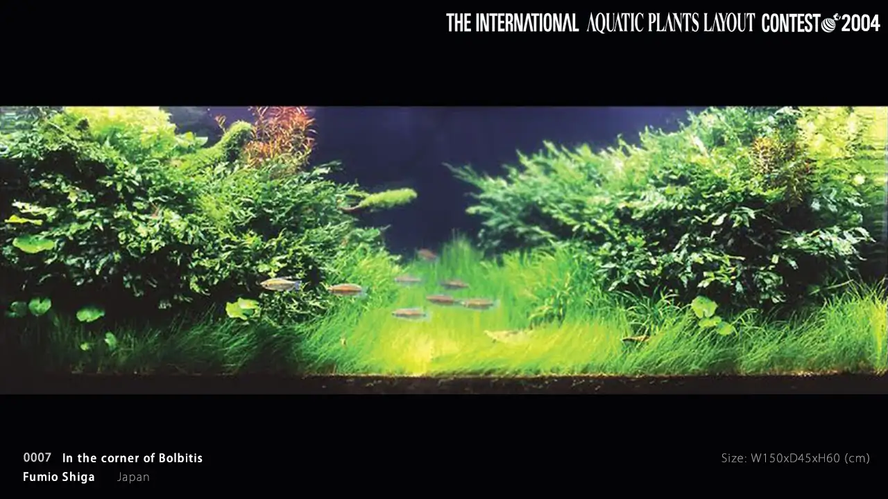 TOP 27 IAPLC 2004 - Look back history