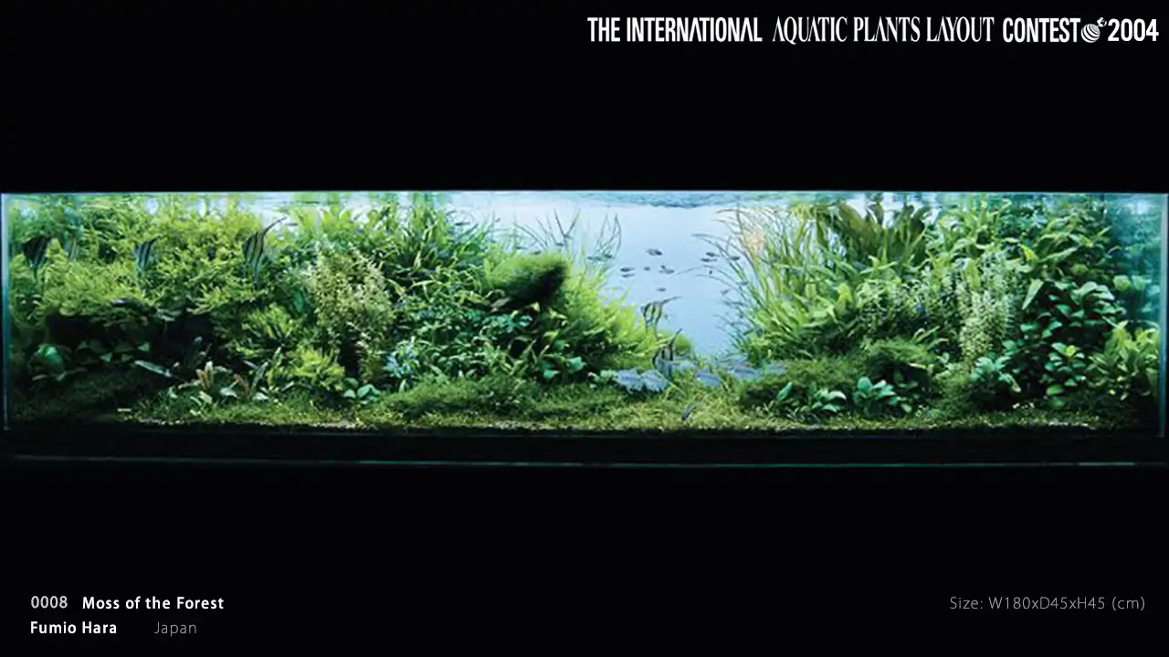 TOP 27 IAPLC 2004 - Look back history