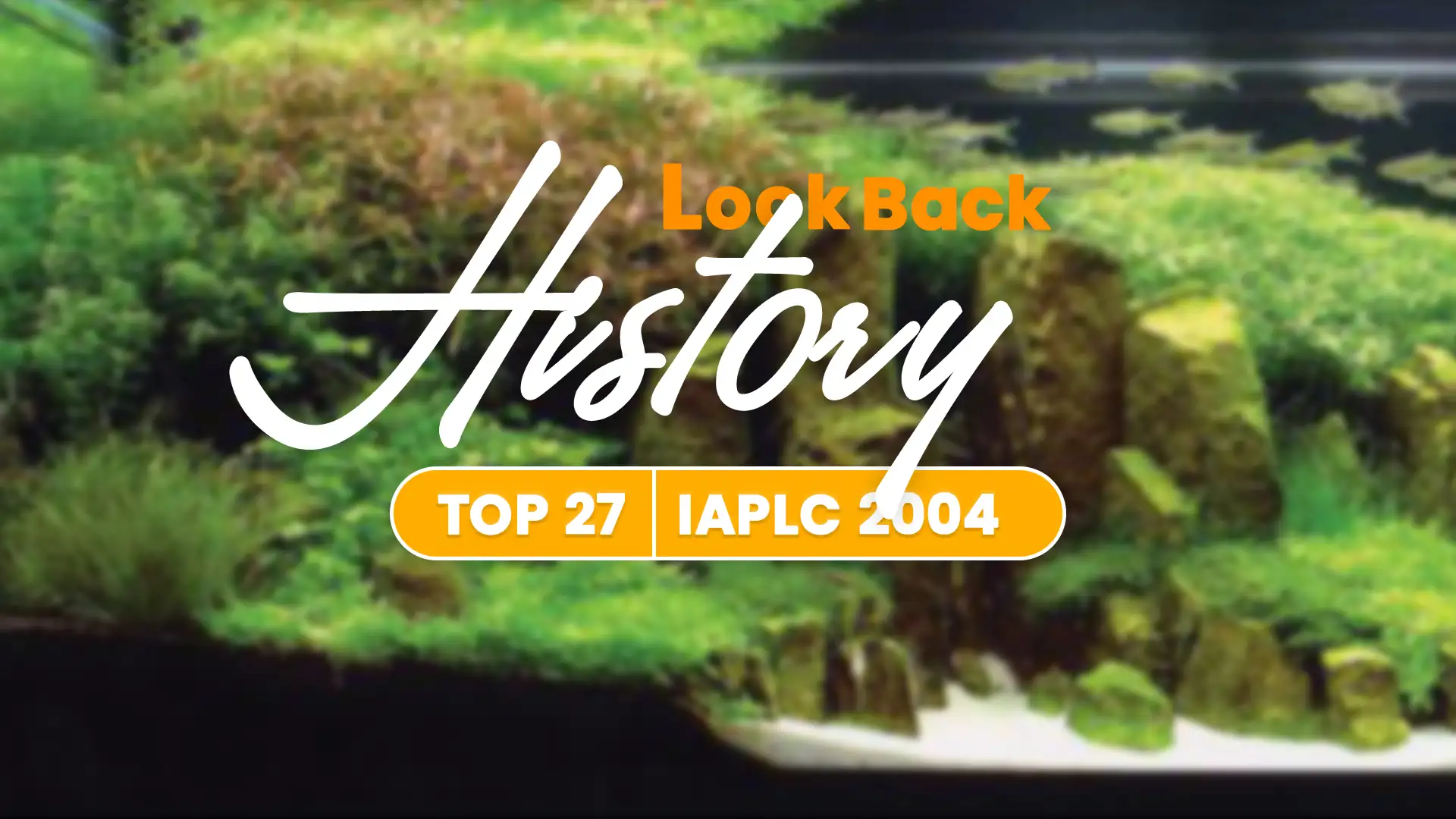 TOP 27 IAPLC 2004 - Look back history