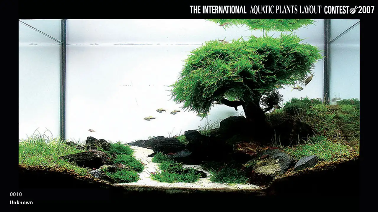 TOP 27 IAPLC 2007 - Look back history