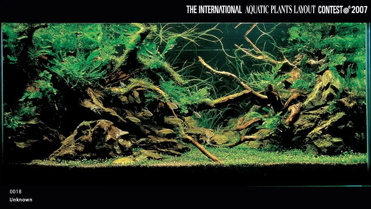 TOP 27 IAPLC 2007 - Look back history