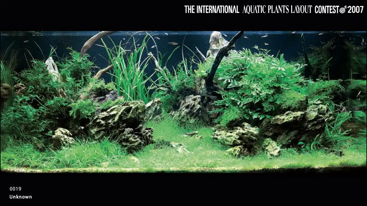 TOP 27 IAPLC 2007 - Look back history