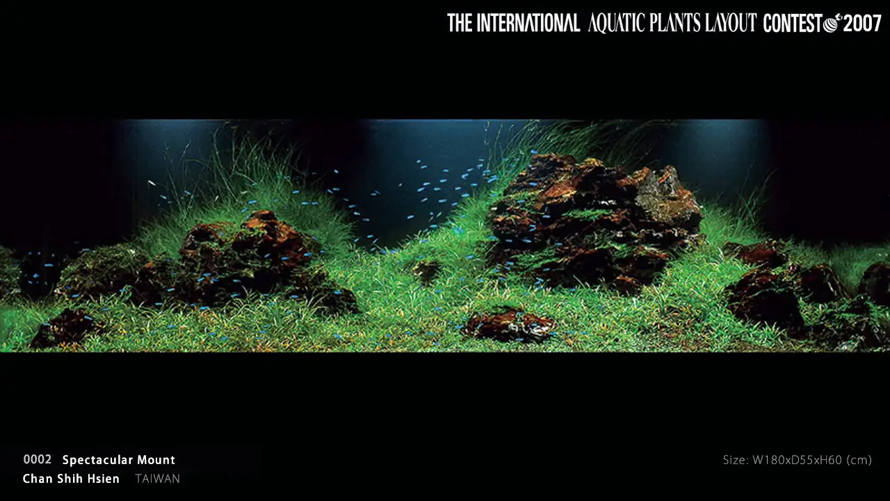 TOP 27 IAPLC 2007 - Look back history