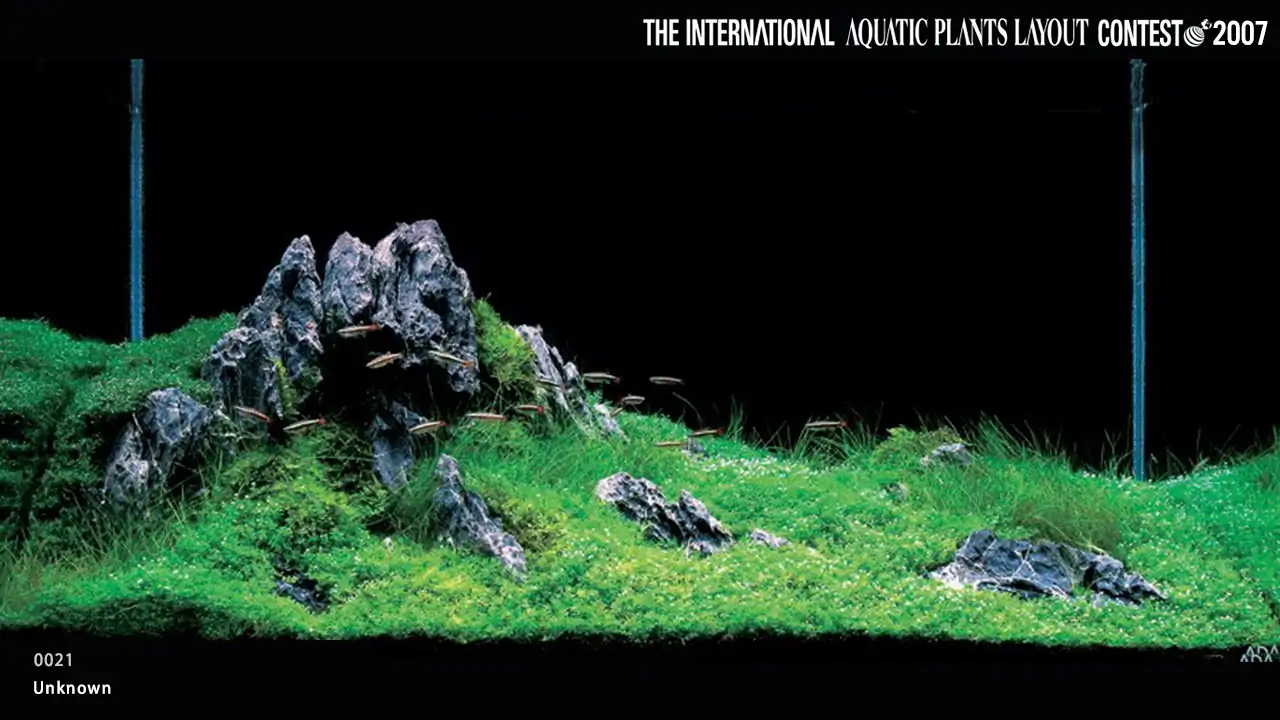 TOP 27 IAPLC 2007 - Look back history