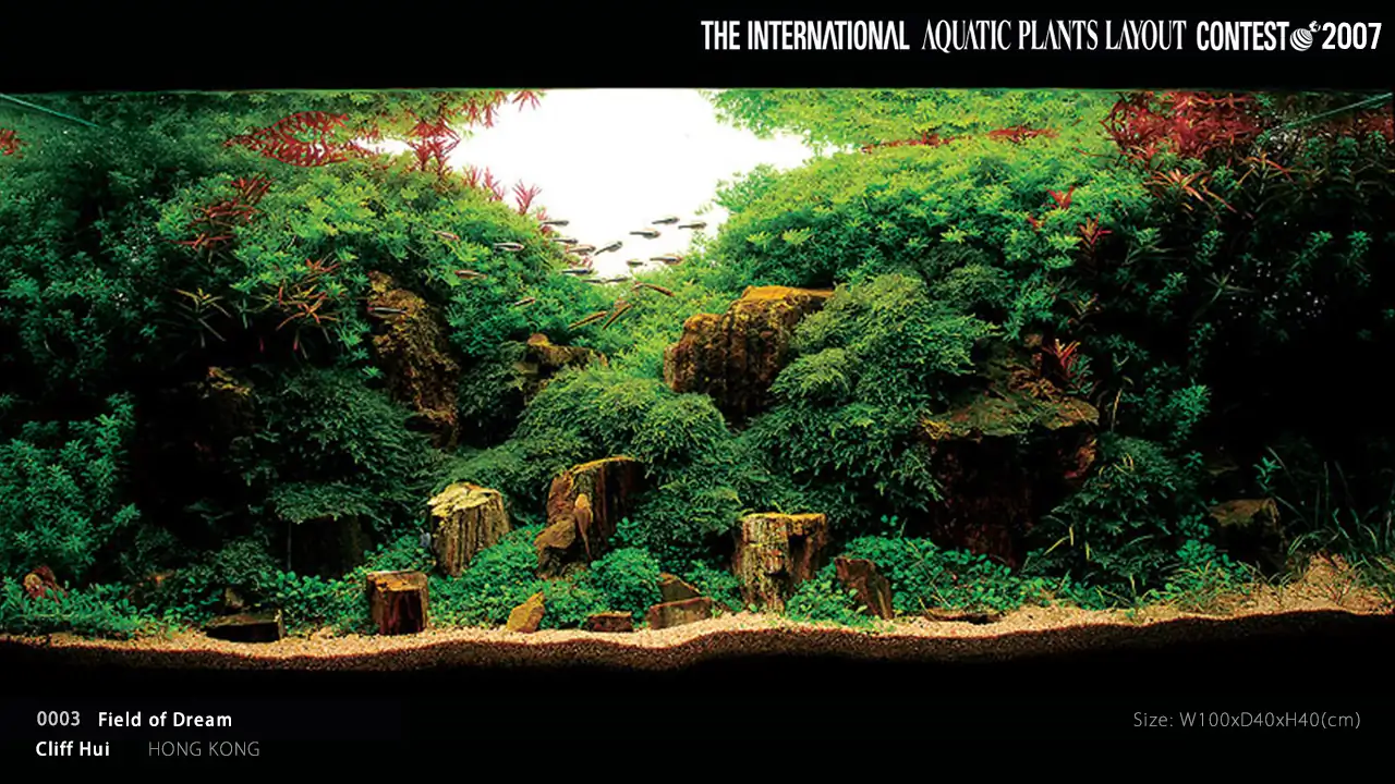 TOP 27 IAPLC 2007 - Look back history