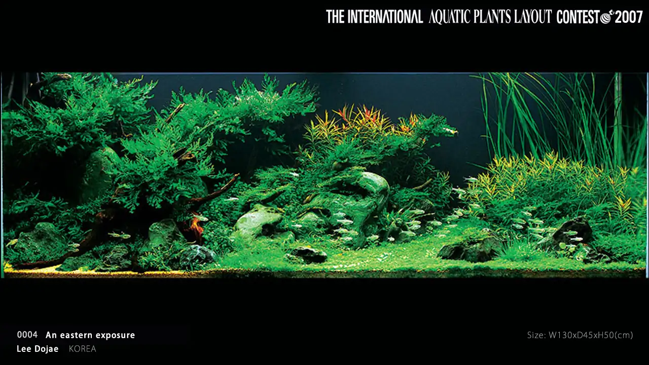 TOP 27 IAPLC 2007 - Look back history