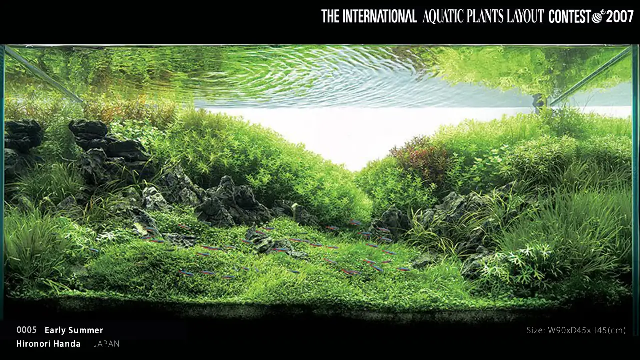 TOP 27 IAPLC 2007 - Look back history