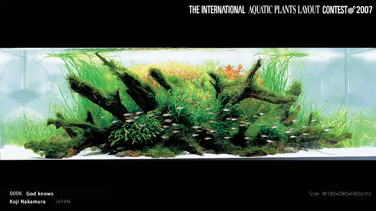 TOP 27 IAPLC 2007 - Look back history